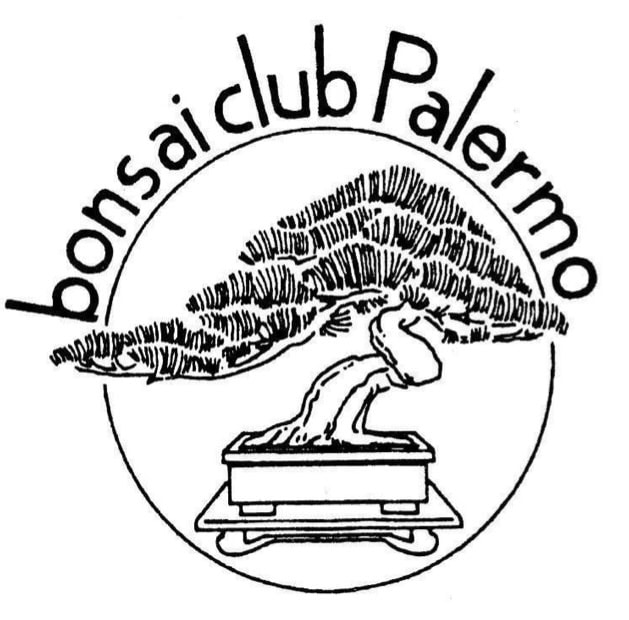 Bonsai Club Palermo